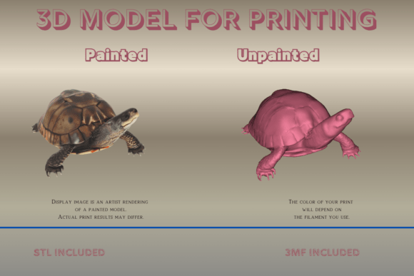 Download Painted Turtle 3D Print Model - Premium Resources