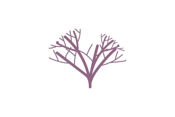 Download Beauty Floral Decorations - Deco Collection